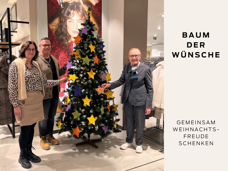 Introbild zu Artikel Baum der Wünsche